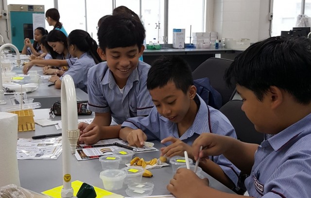 Tunku Putra students preparing the banana slices for the “Browning Project” activity.