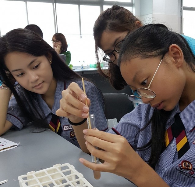 Tunku Putra students taking the DNA strands from the extraction solution for the “DNA Extraction” activity.