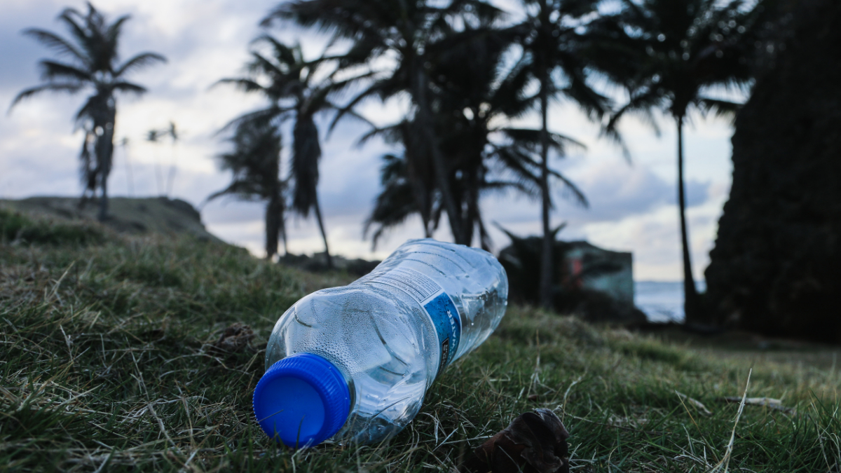 plastic_bottle_litter