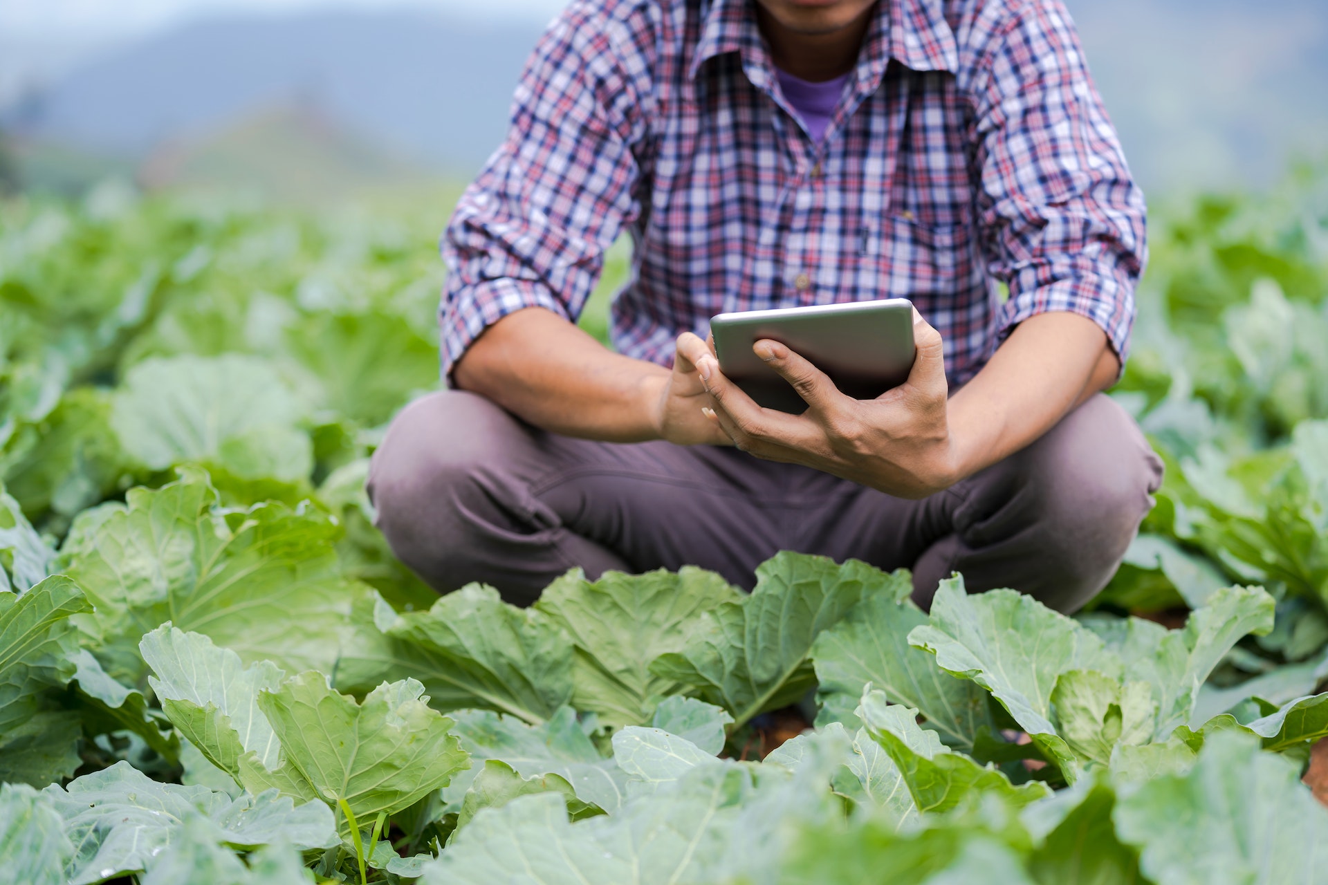 Modernisation is described as the use of modern technologies in agriculture