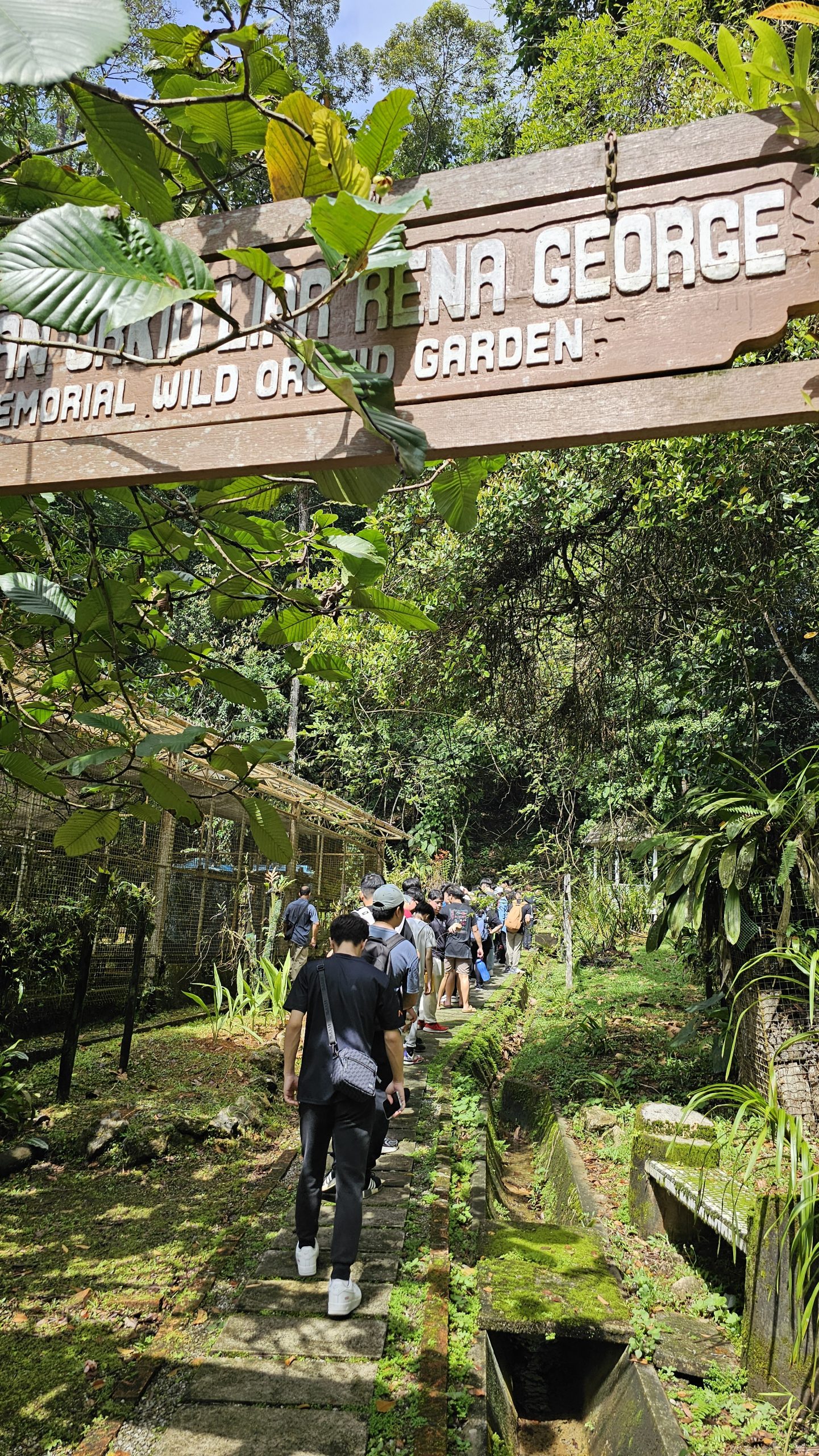 An exploration along the Orchid Garden trail to familiarise participants to the variety of native orchid species at the park.