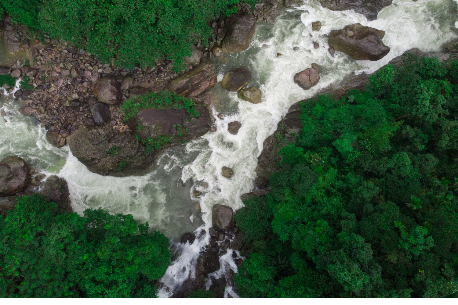 Sarawak's forests, peatlands, and green economy urgently need qualified environmental scientists, and an environmental science degree, potentially funded by FTES, puts you at the centre of that work.