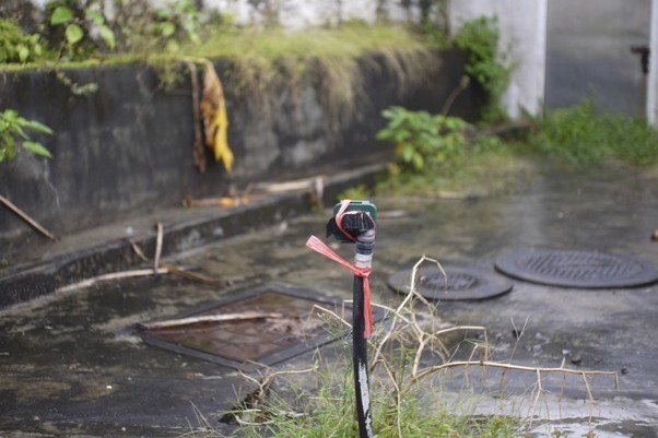 Hands-on fieldwork is central to Swinburne Sarawak's science programmes, giving students practical research skills alongside their academic training.