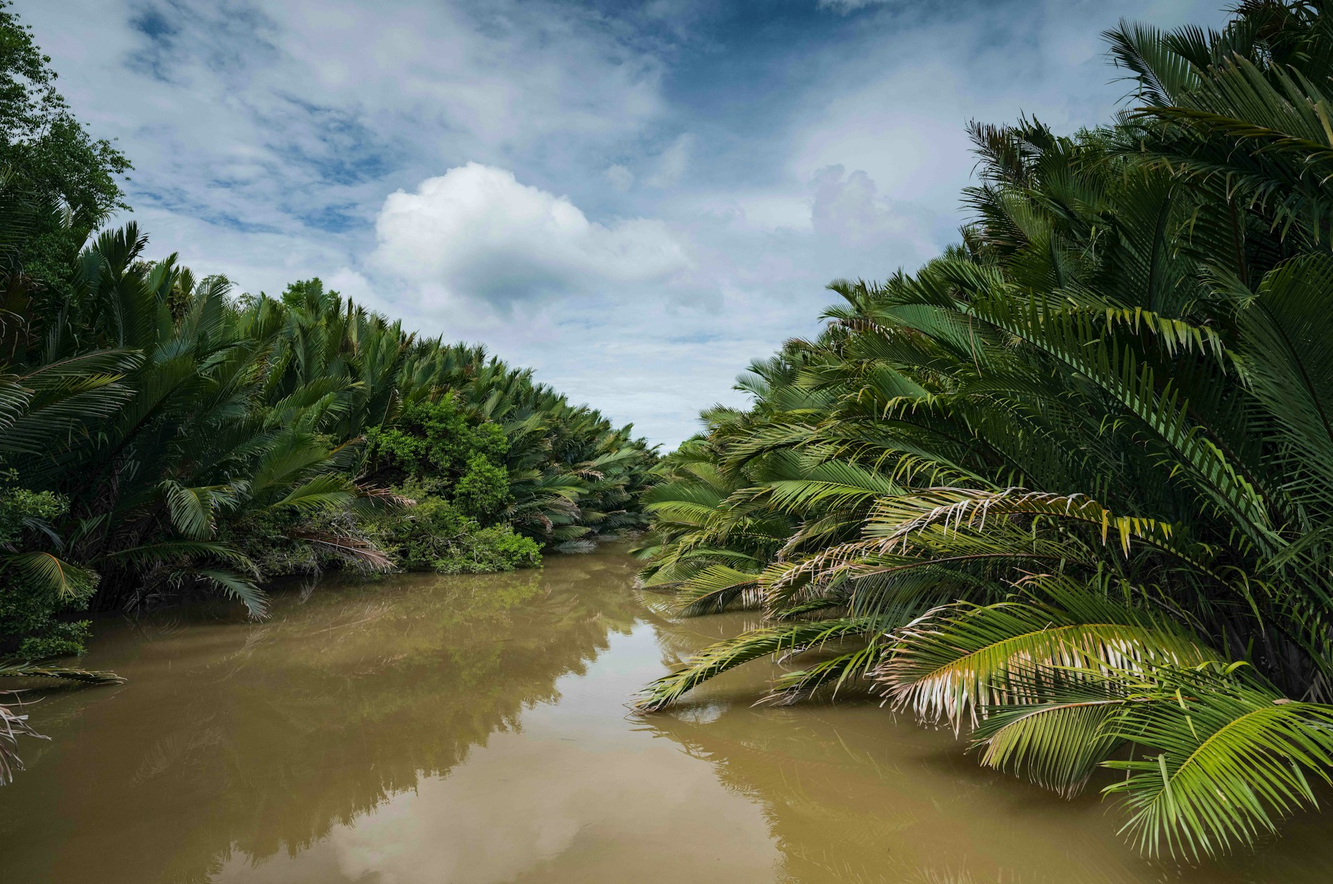 Sarawak's forests, peatlands, and green economy urgently need qualified environmental scientists, and an environmental science degree, potentially funded by FTES, puts you at the centre of that work.